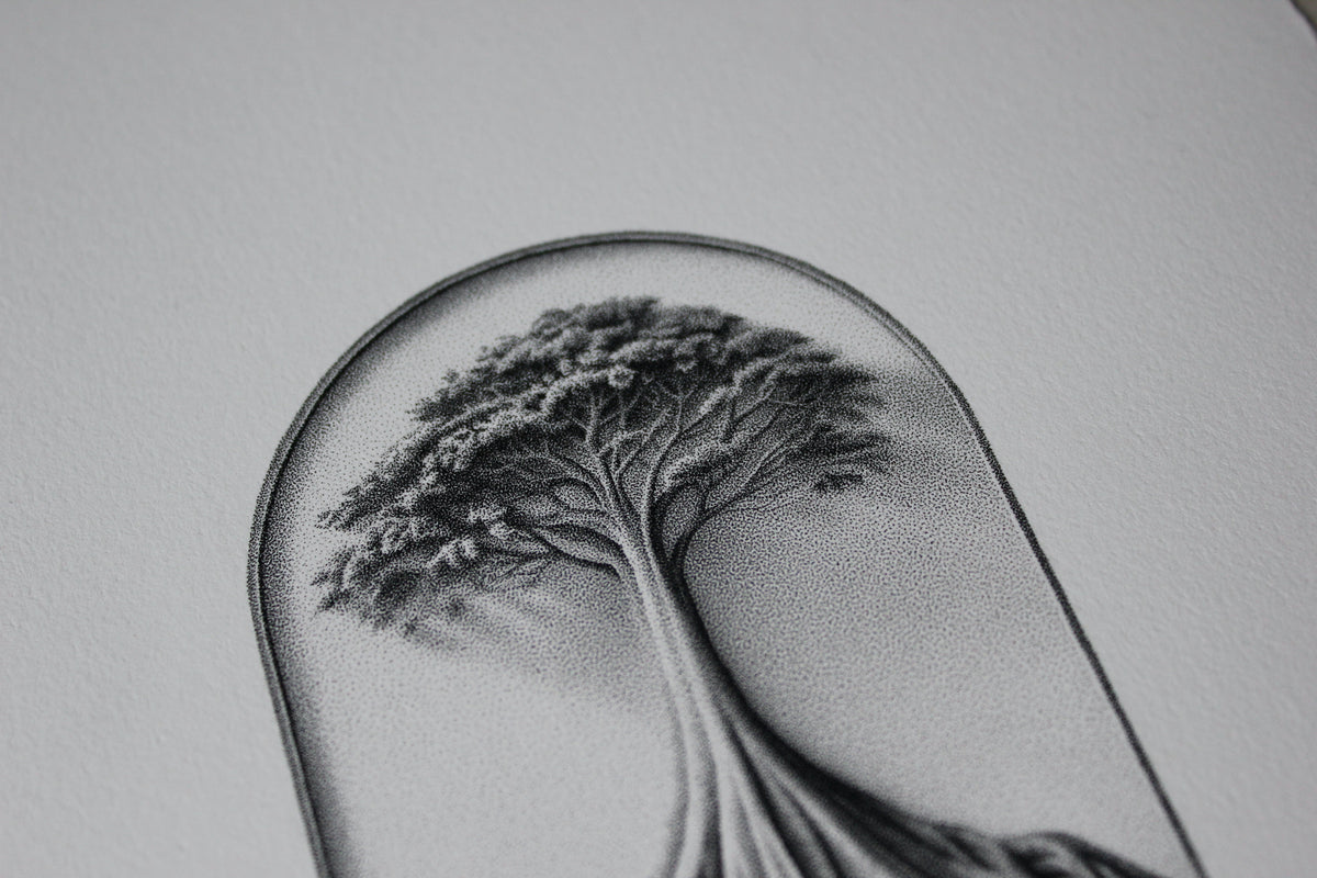 The roots flowing into water